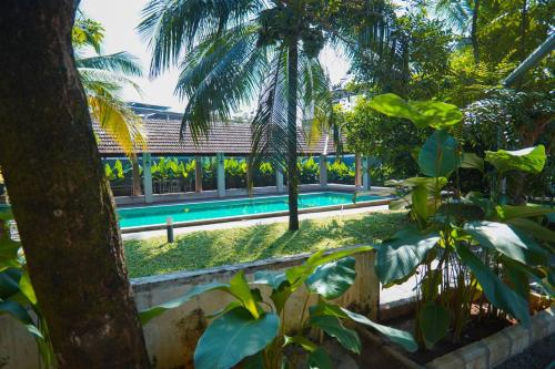 Private Pool Villa in Thodupuzha- Heliconia Inn في Thodupuzha: حمام سباحة في منتجع به أشجار النخيل
