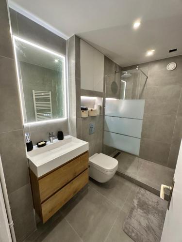 Charming Parisian apartment in the 15th arrondissement
