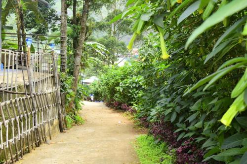 un camino a través de un jardín con árboles y una valla en Nakshatrahomestay, en Vattavada