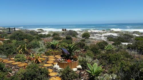 a garden with plants and the ocean in the background at On The Beach Apartments in Yzerfontein