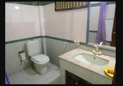 een badkamer met toilet, wastafel en raam bij Khan Regency Hotel in Dargai