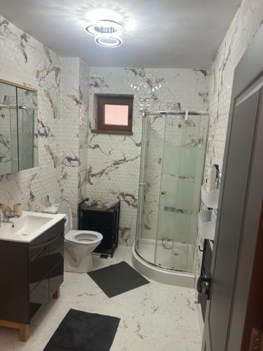 a bathroom with a shower and a toilet and a sink at Central VIP in Craiova