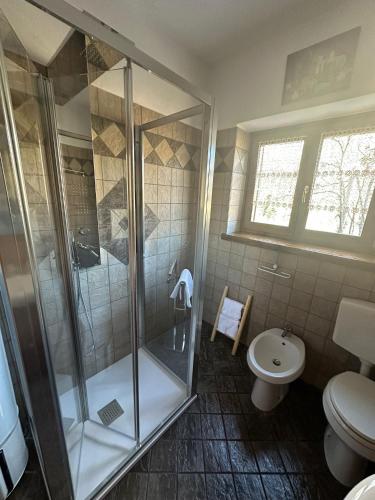 a bathroom with a shower and a toilet at Chalet du soleil in Odecla