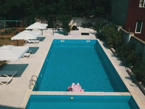 an overhead view of a swimming pool with a pig toy at Belgrad Rustaveli Kobuleti in K'obulet'i