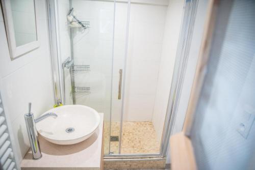 ein Badezimmer mit Waschbecken und Dusche in der Unterkunft Appartement avec Jardin in Gerzat