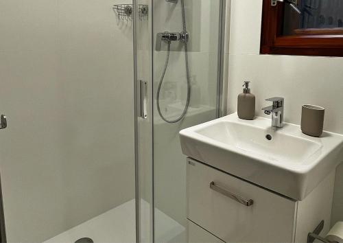 een badkamer met een douche en een wastafel bij Chata v Kamenném Přívozu in Kamenný Přívoz