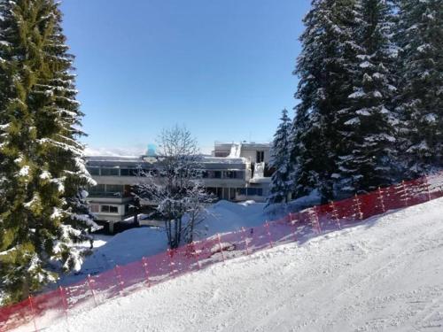 Residence Sole Alto Marillleva 1400 - vista bosco trong mùa đông