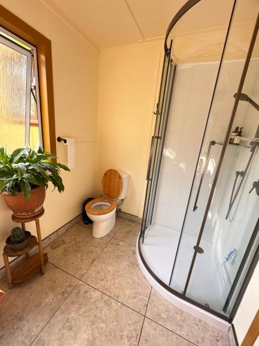 een badkamer met toilet en glazen douche bij Pandora Cottage Beachfront in Raglan