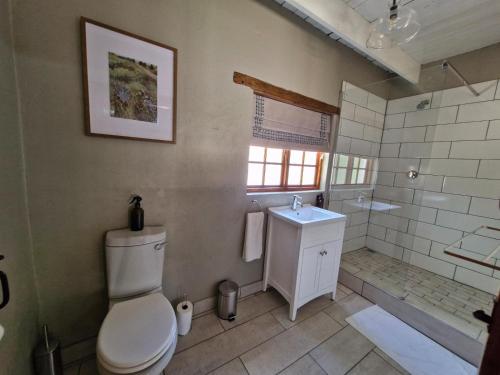 a bathroom with a toilet and a sink at Coniston Villa in Colesberg
