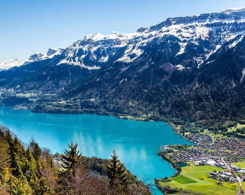 a view of a lake in the mountains at River-2 with Iconic Jungfraujoch View in Interlaken