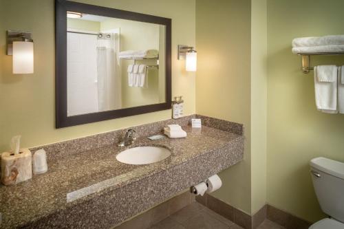a bathroom with a sink and a mirror and a toilet at Holiday Inn Express & Suites Lebanon by IHG in Lebanon