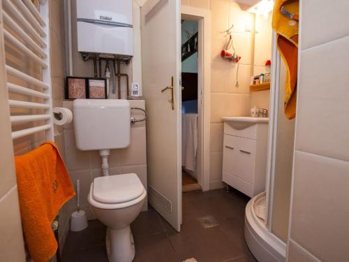 een kleine badkamer met een toilet en een wastafel bij Kurija Inn in Hrašćina
