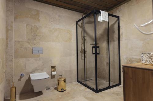 a shower stall in a bathroom with a toilet at Zeppelin Cappadocia in Uçhisar