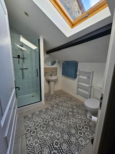 a bathroom with a shower and a toilet and a sink at Le Cosy - Domaine du Vertendre in Saint-Yrieix-la-Perche