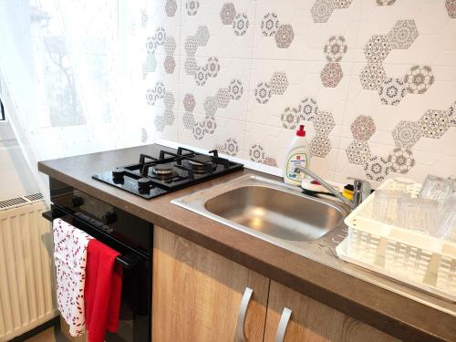 a kitchen with a sink and a stove at Cuibul Practic in Oradea