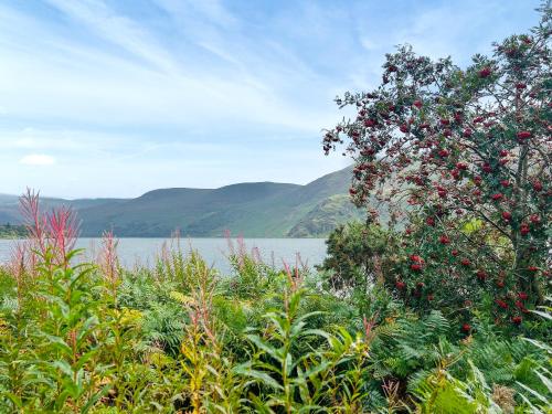Naturlandskabet i nærheden af feriehuset