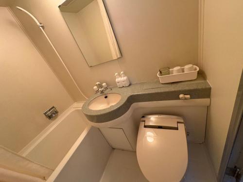 彦根市にある彦根びわこホテル無料駐車場ありペット同伴可の洗面台とトイレ付きの小さなバスルーム