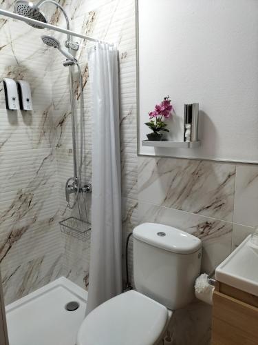a white bathroom with a toilet and a shower at V.V Casa Mones in Cangas de Onís