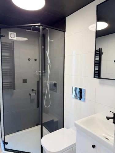 a bathroom with a shower and a toilet and a sink at Leśna Balia - Domek z balią na wyłączność in Stogniewice