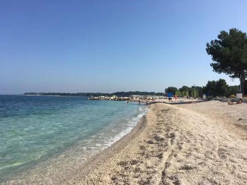 Olive tree oasis with heated pool