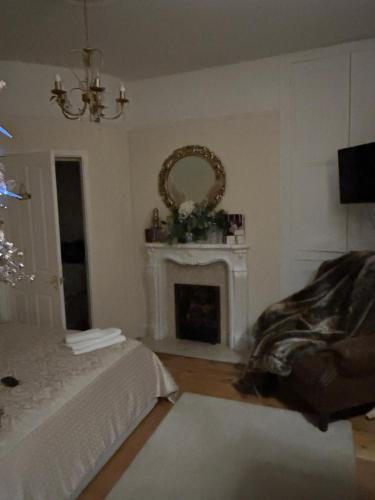 a living room with a bed and a fireplace at Albany house Harborne in Birmingham