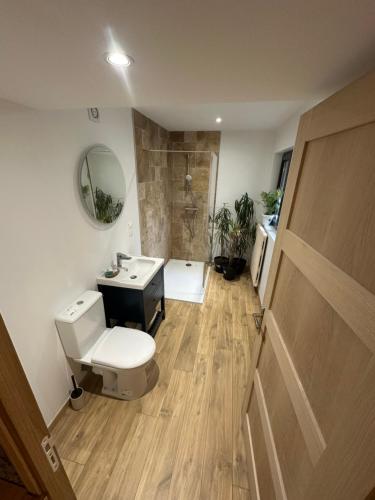 Un baño con inodoro, lavabo y ducha. en Suite 1- La Petite Auberge, en Langres