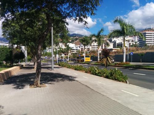 a tree on a sidewalk next to a street at Villa Formosa in Funchal