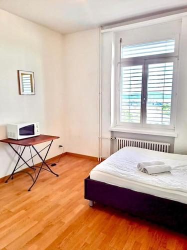 Superior Flat close to Zurich HB Uni