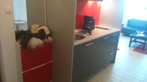 an open door to a kitchen with a counter top at Vila Ema Apartments and Rooms in Ljubljana
