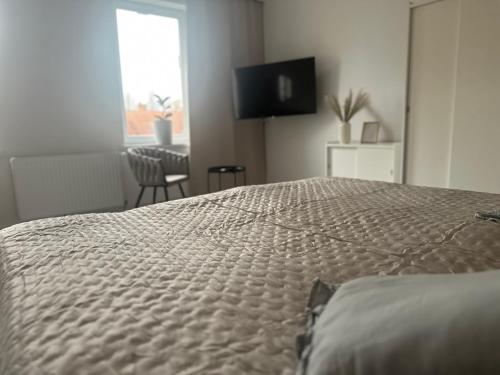 Guben Wohnungen nett في غوين: غرفة نوم بسرير وتلفزيون على الحائط