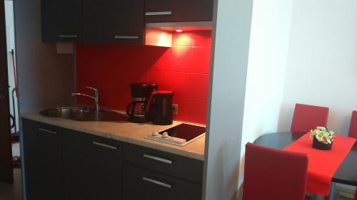a small kitchen with a sink and red cabinets at Vila Ema Apartments and Rooms in Ljubljana
