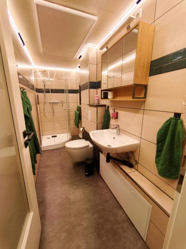 a bathroom with a toilet and a sink at Bungalow Am Schlosswald-Infrarotsauna, Klimaanlage&Terrasse - Wernigerode Harz in Wernigerode