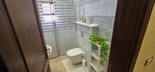 Irbid irbid alrazi st