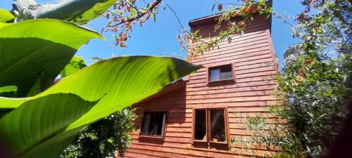a wooden house with a large green leaf at Casa Iris del monte in La Pedrera