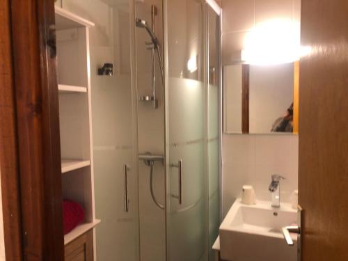 a bathroom with a shower and a sink at Hôtel la Kinkerne in Morzine