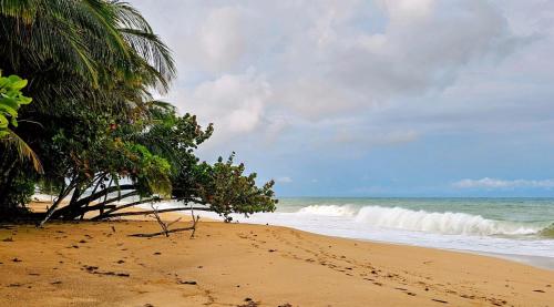 Un paisaje natural cerca de la casa vacacional
