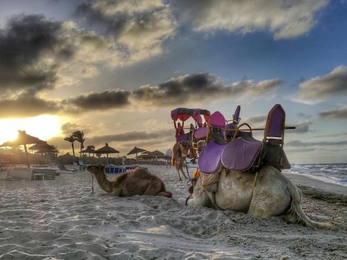 Fotografie z fotogalerie ubytování Bedrum Propum Kombinum007 v destinaci Kucze