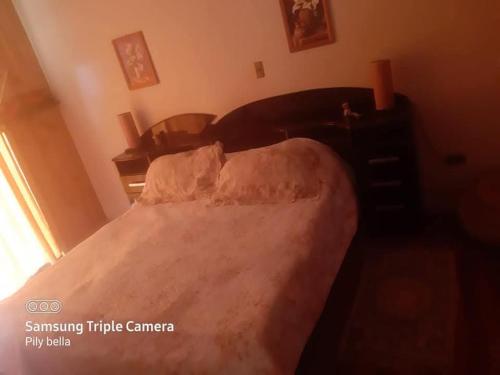 En eller flere senge i et værelse på Hermosa Casa Lican Ray