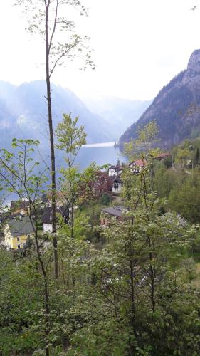 a view of a lake from a hill with trees at Am Baalstein in Traunkirchen