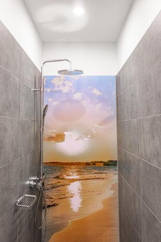 a bathroom with a shower with a view of the ocean at CityPension-Vreden in Vreden