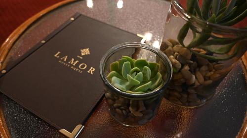 LUXURY EN-SUITE ROOM WITH LOUNGE @ 4 STAR GUEST HOUSE في ميدلبرغ: طاولة مع مزهرية عليها نبات