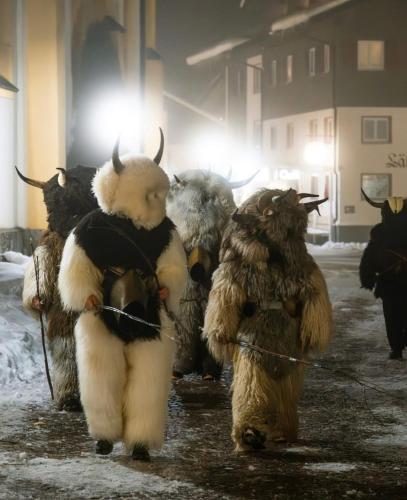 Eläimiä huoneiston alueella tai sen lähistöllä