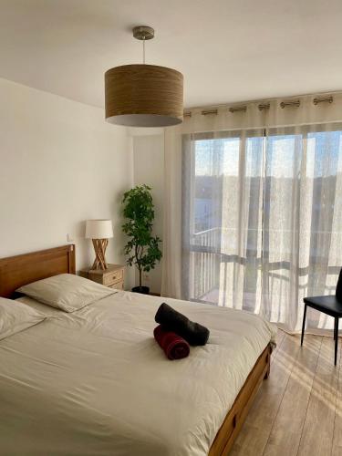 a bedroom with a bed and a large window at T3 - Centre - 75m2 - 2 SDB - Parking - Calme in Anglet