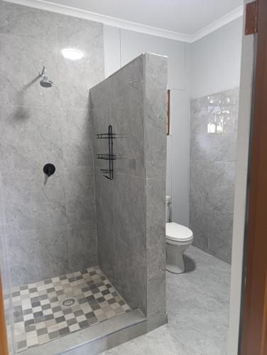a bathroom with a shower with a toilet in it at NAMU Apartments in Katima Mulilo