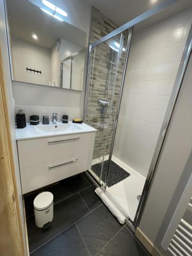 a bathroom with a shower and a sink at Chalet AIGUILLON RDC D in Le Lioran