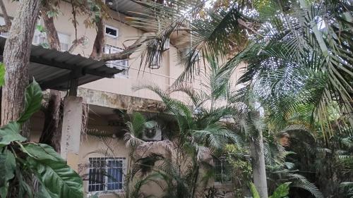 a building with palm trees in front of it at Apartamentos Emanuel in San Benito