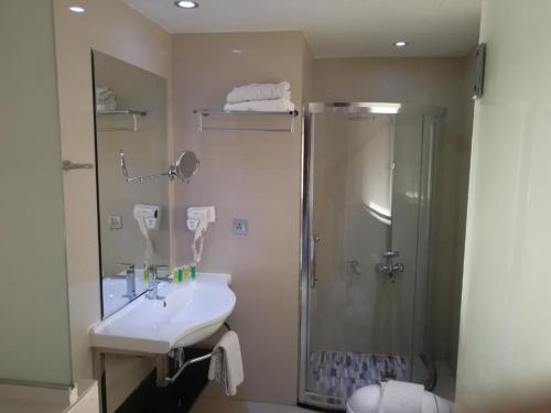 un bagno con lavandino e doccia di Tetra Tree Hotel 1 a Wadi Musa