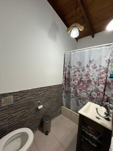 een badkamer met toilet en douchegordijn bij Del Mar in Mar de Ajó