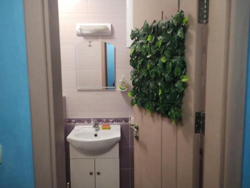 62A Doctor Luben Lazarov Street في مدينة فارنا: حمام مع حوض وزرع على الحائط