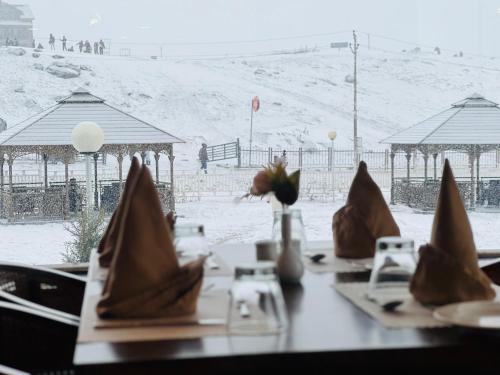 Country Inn Suites by Radisson Sonamarg om vinteren